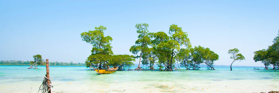 A 10 day tour covering all of Andamans major tourist destinations